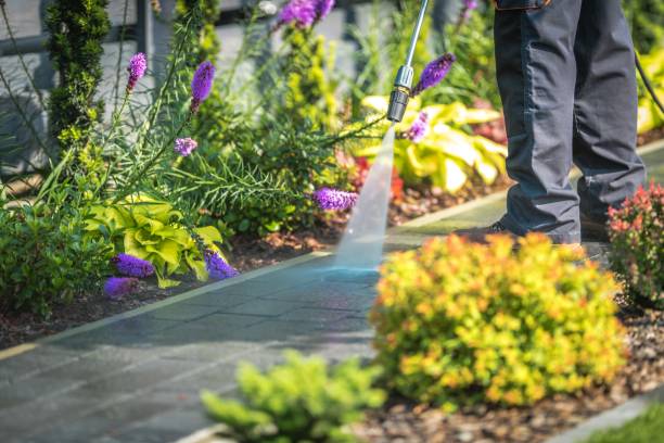 Best Post-Construction Pressure Washing  in Newark, CA